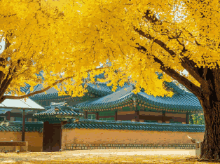 韩国外贸数据,外贸数据,EVO视讯 EVO真人外贸数据 韩国外贸数据,外贸数据,EVO视讯 EVO真人外贸数据